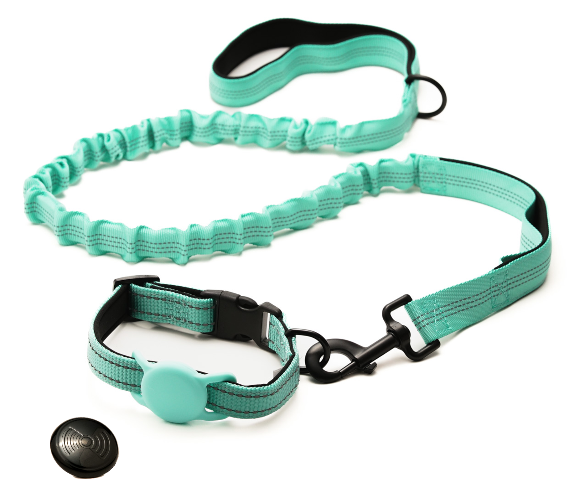 Everyday Dog - Aqua Collar - Bundle