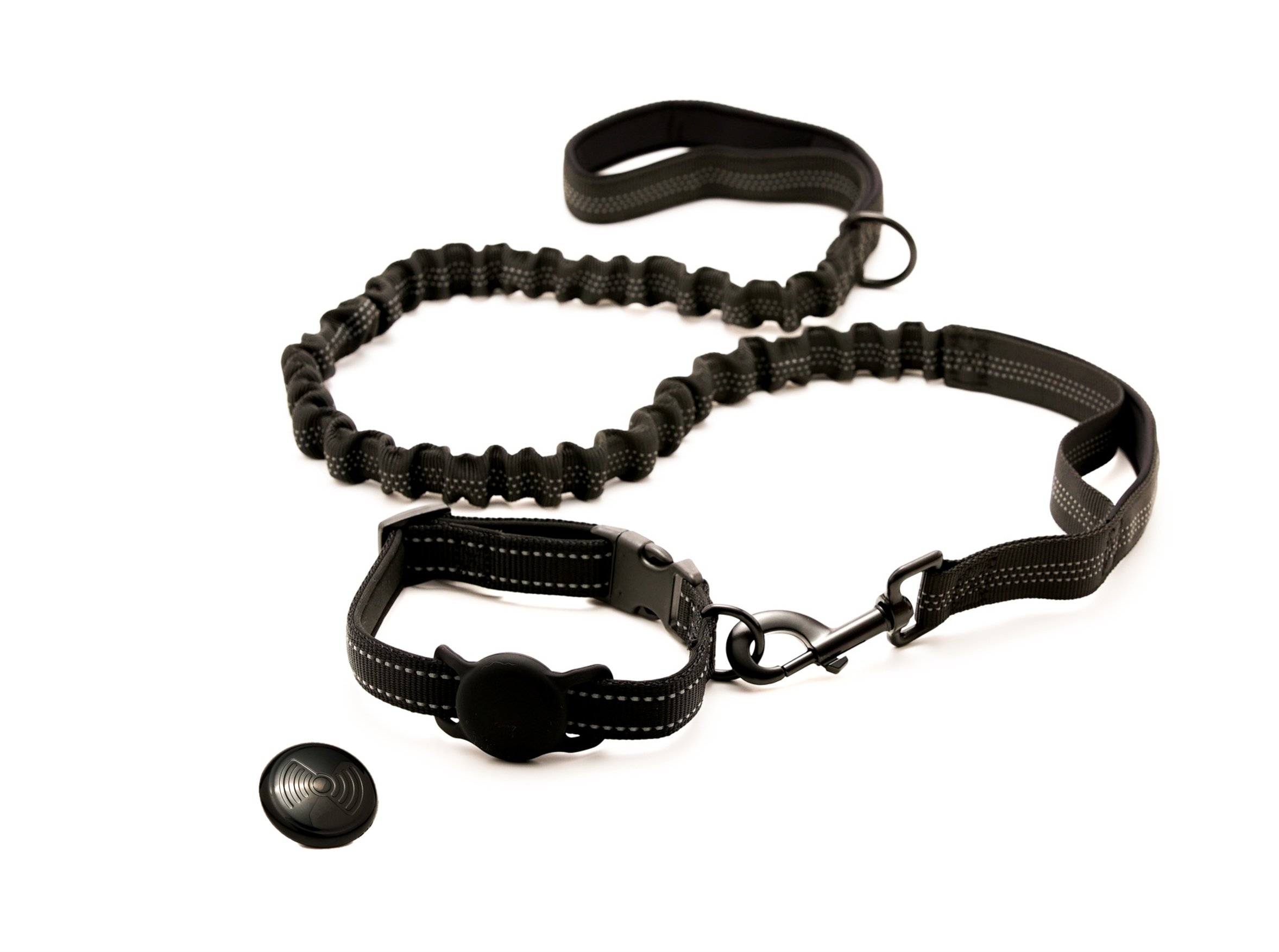 Everyday Dog - Black Collar - Bundle