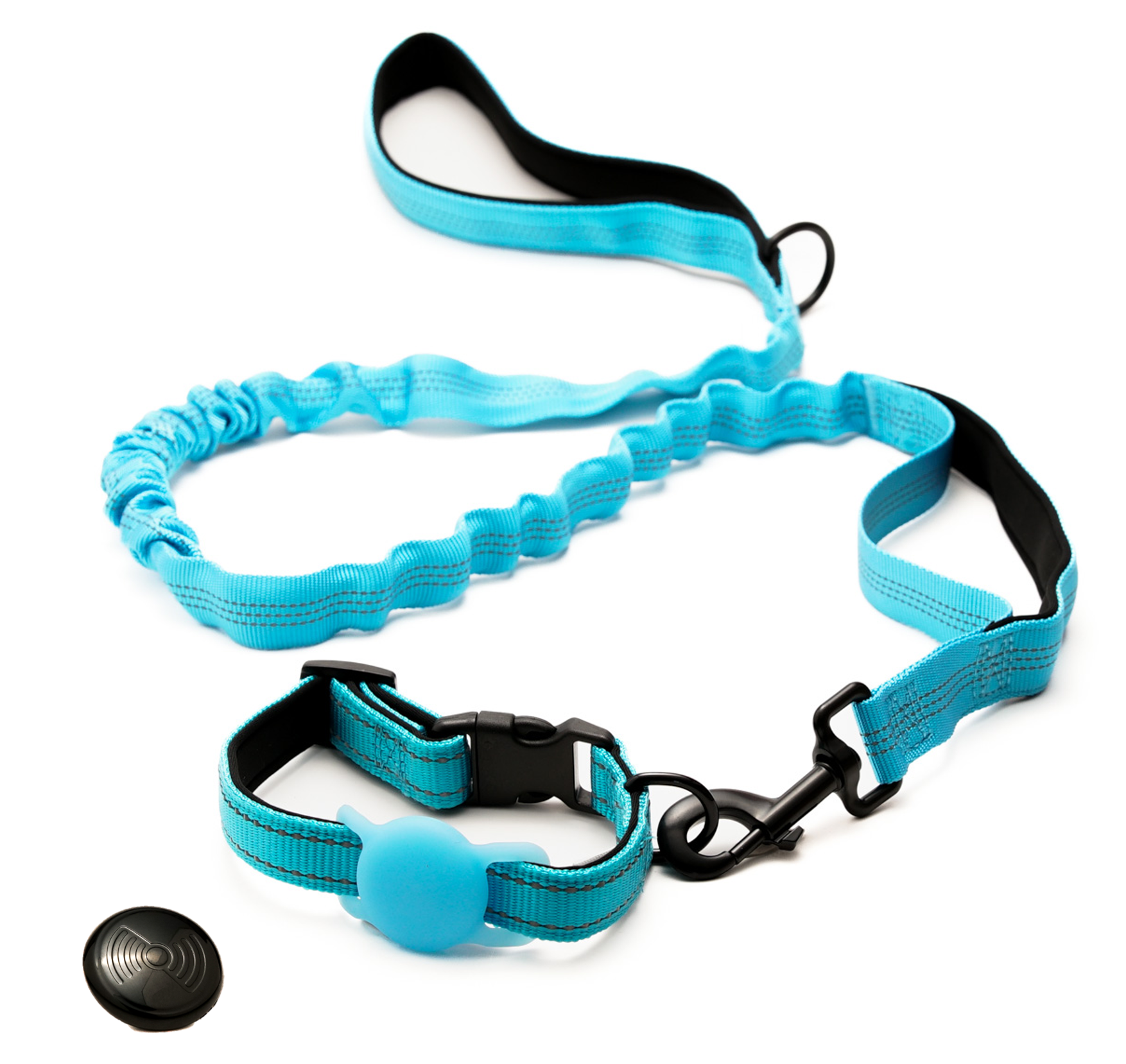 Everyday Dog - Blue Collar - Bundle