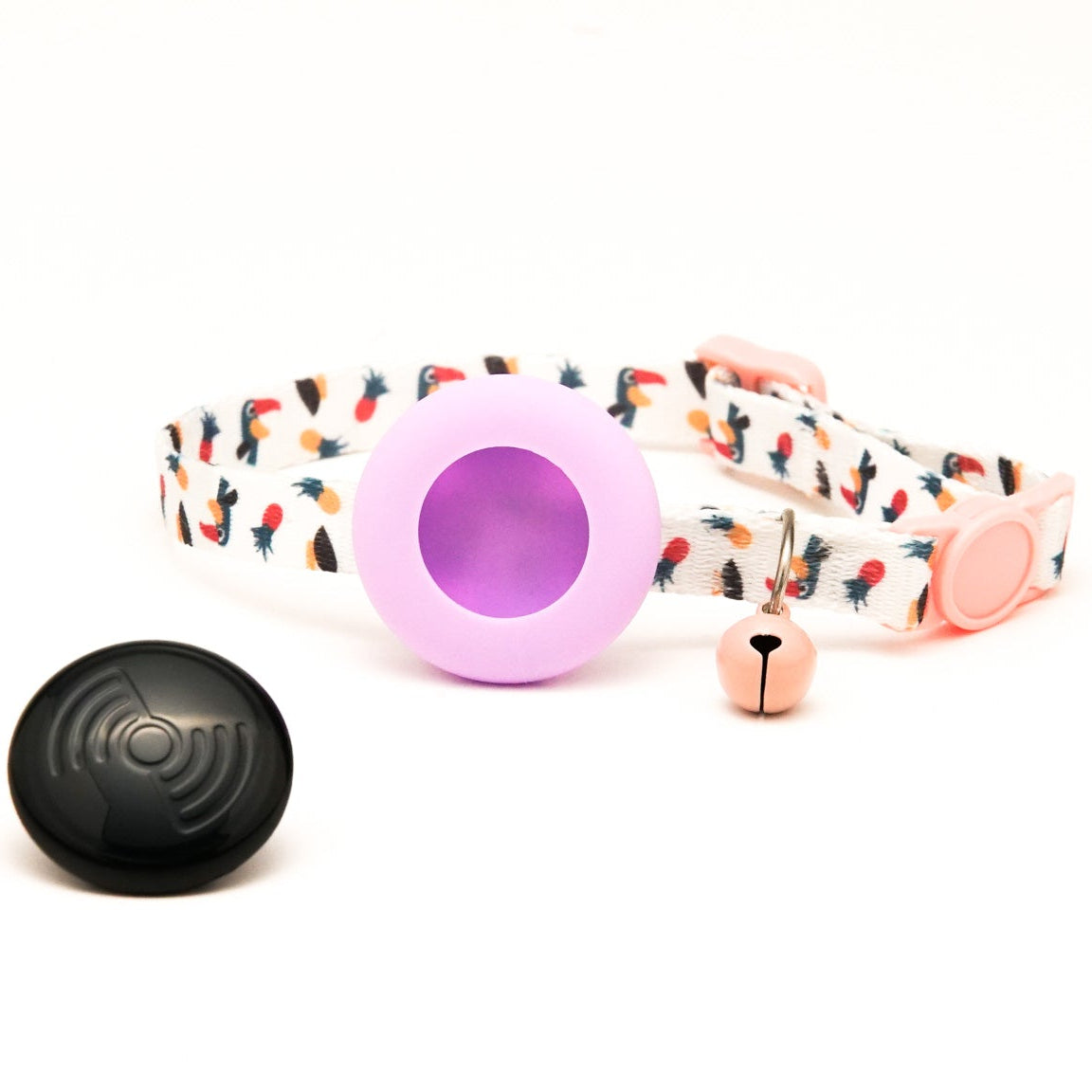 Everyday Cat - Lavender Pineapples - Bundle