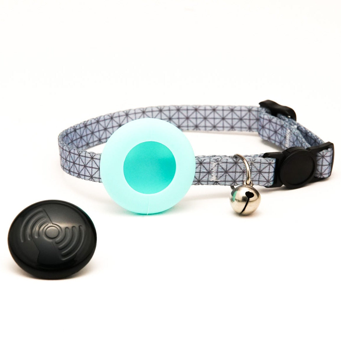 Everyday Cat - Aqua Classic - Bundle