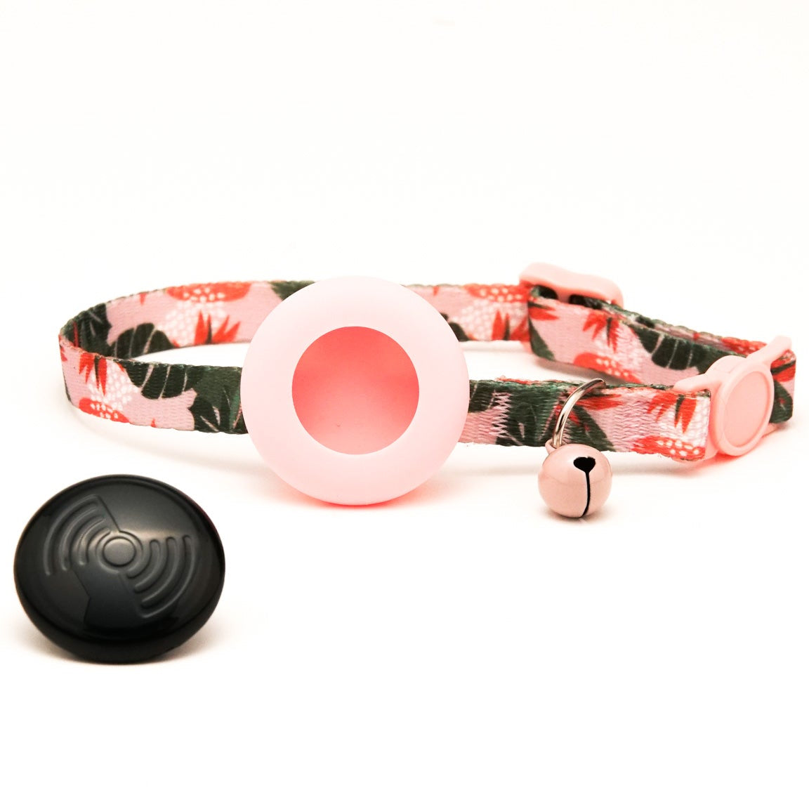 Everyday Cat - Pink Hawaii - Bundle