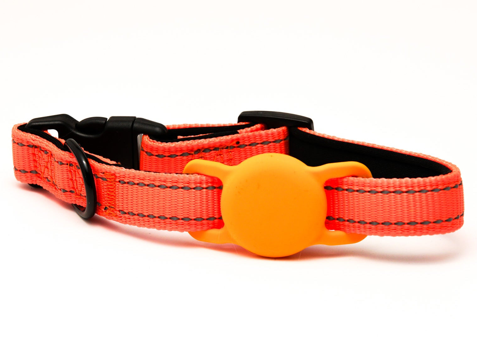 Everyday Dog - Orange Collar