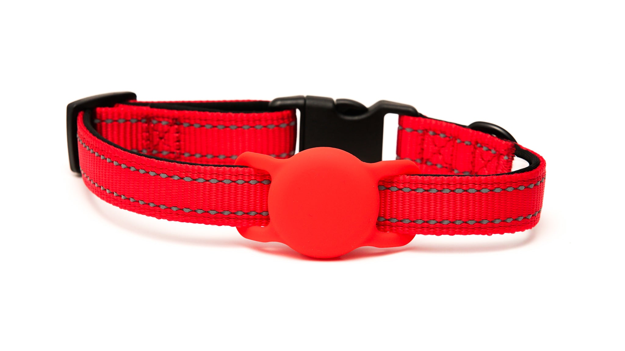 Everyday Dog - Red Collar - Bundle