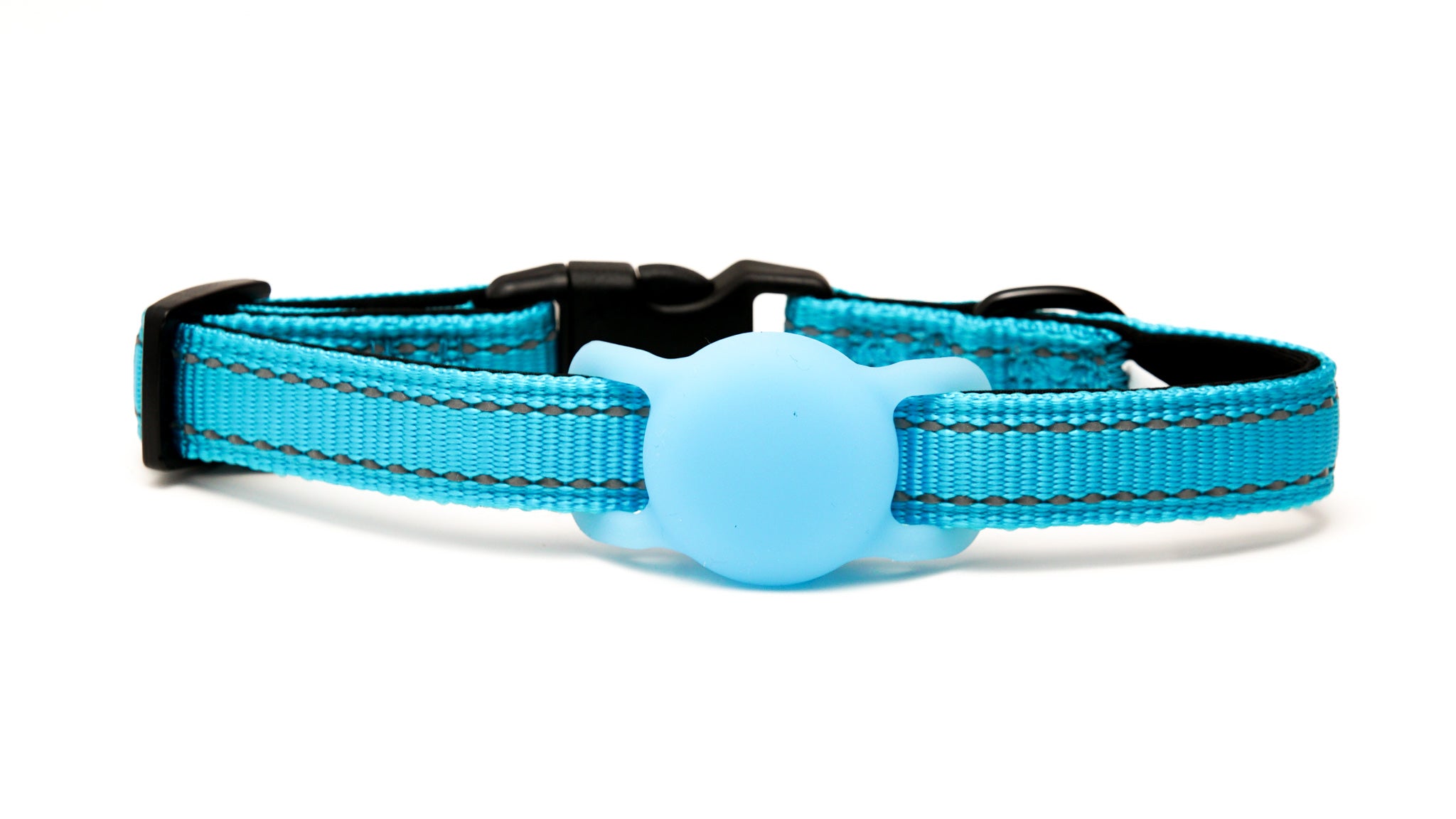 Everyday Dog - Blue Collar - Bundle