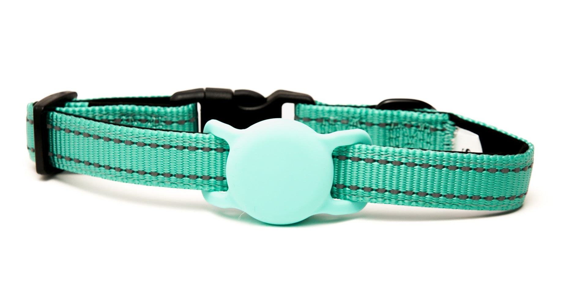 Everyday Dog - Aqua Collar - Bundle
