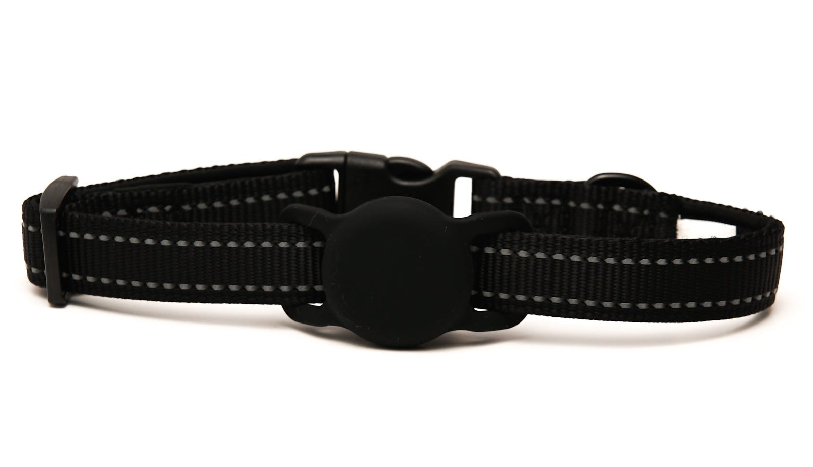 Everyday Dog - Black Collar - Bundle