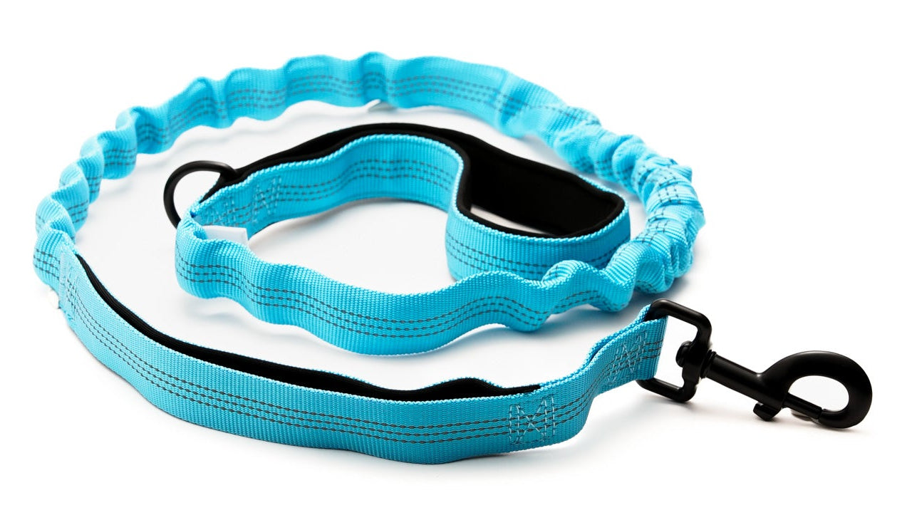 Everyday Dog - Blue Collar - Bundle