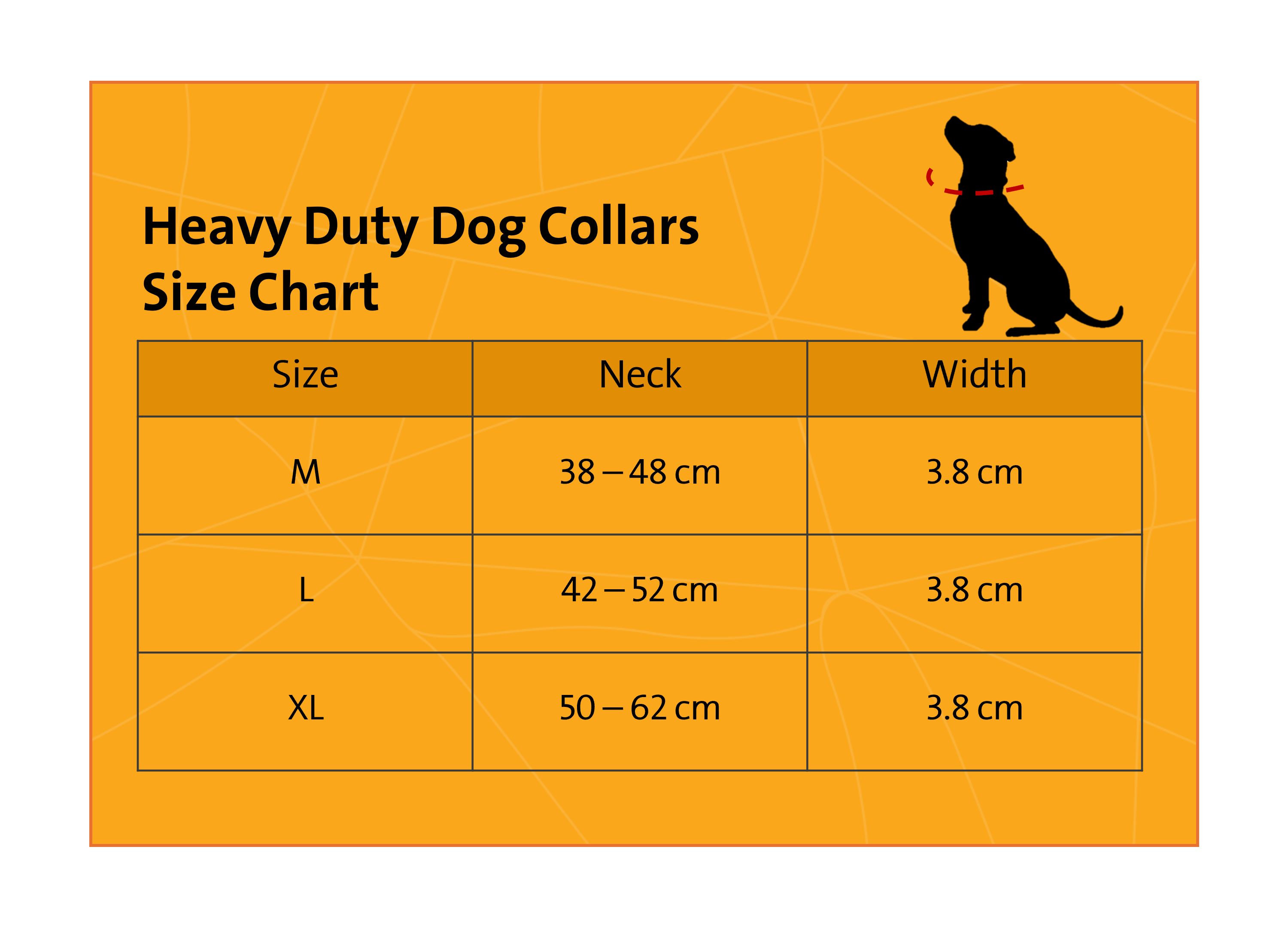 Heavy Duty Dog Collar + leash + SmartTag - Bundle