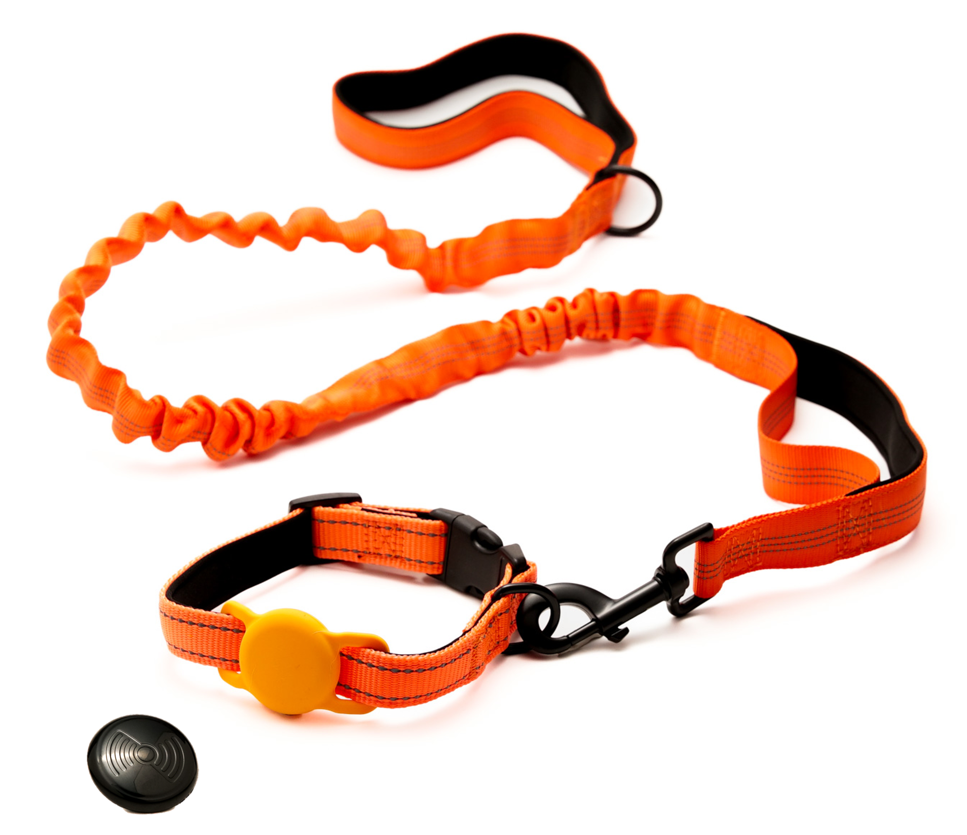 Everyday Dog - Orange Collar - Bundle