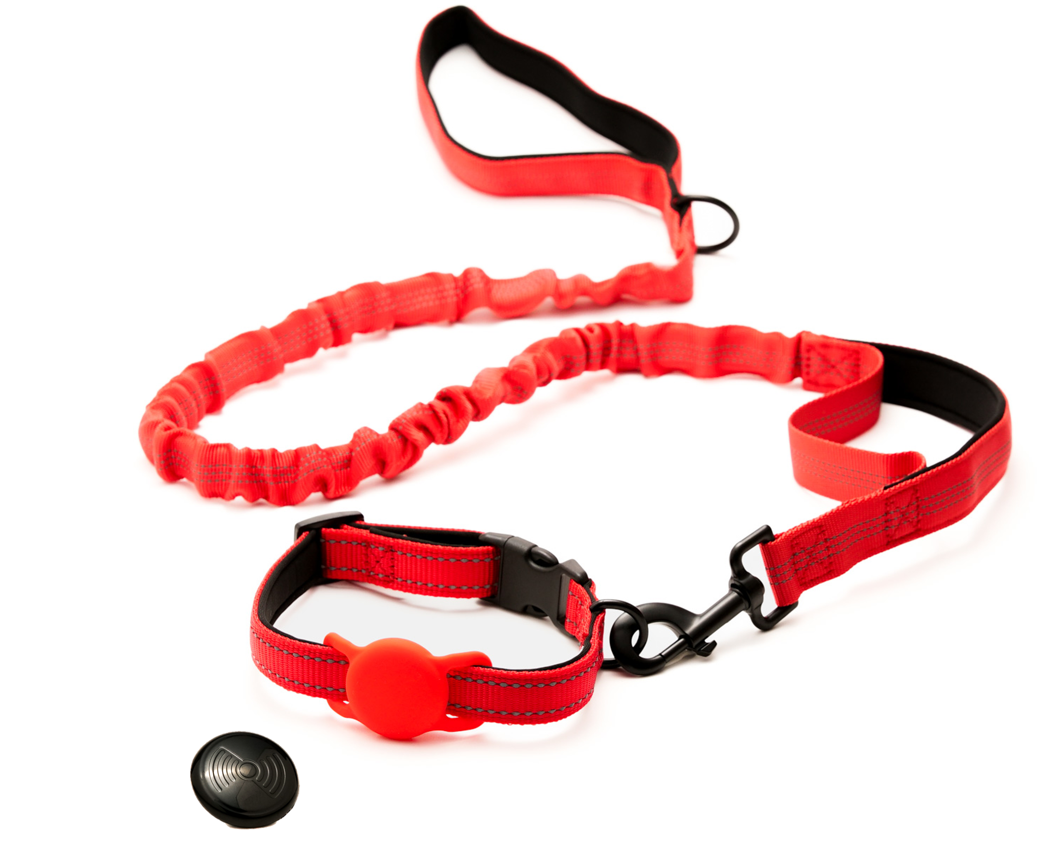 Everyday Dog - Red Collar - Bundle