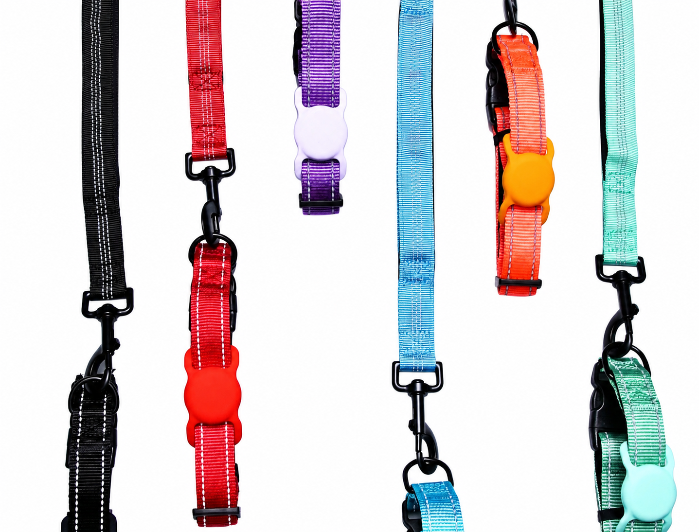 Every Day Dog - Collars & Leashes