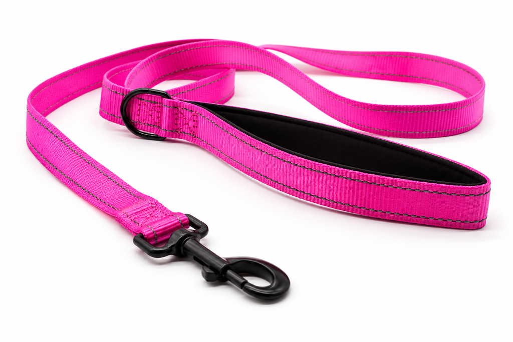 Everyday Dog - Hot Pink Straight Leash - Bundle