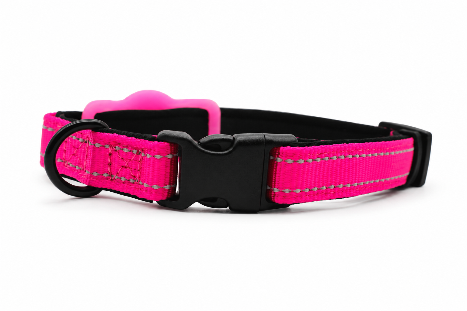 Everyday Dog - Hot Pink Collar