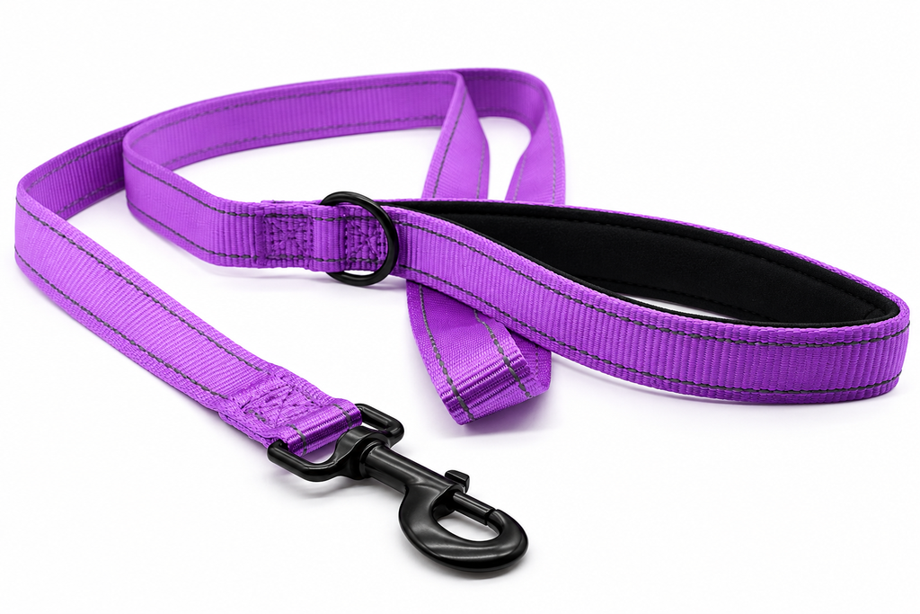 Everyday Dog - Purple Straight Leash - Bundle