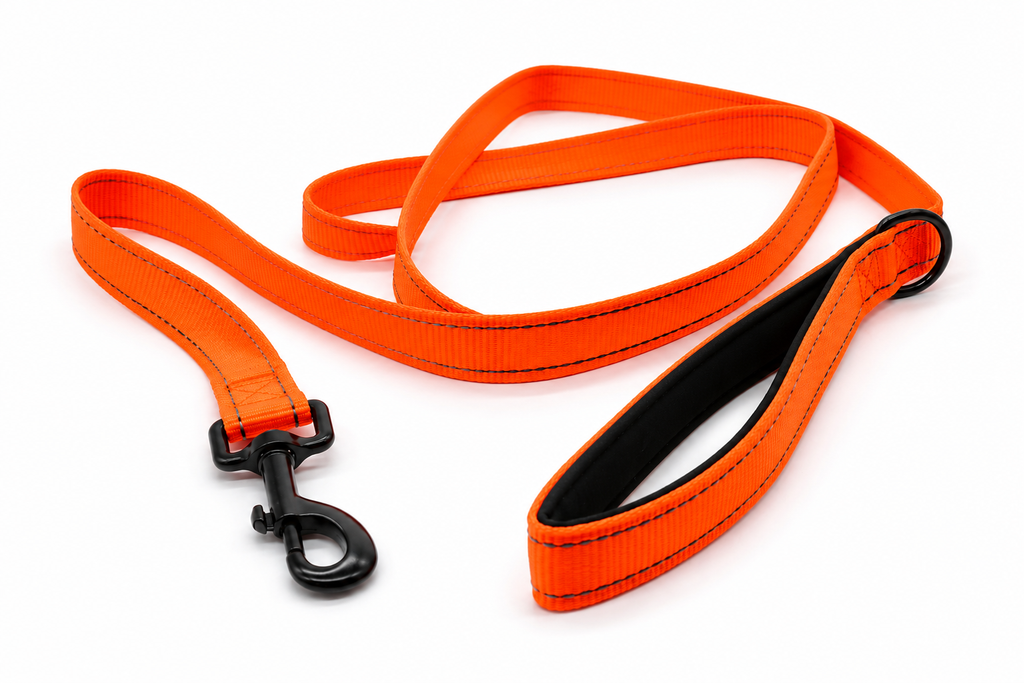 Everyday Dog - Orange Straight Leash - Bundle