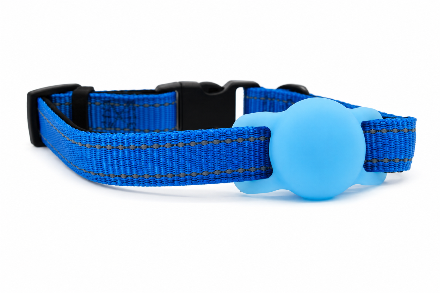 Everyday Dog - Royal Blue Collar