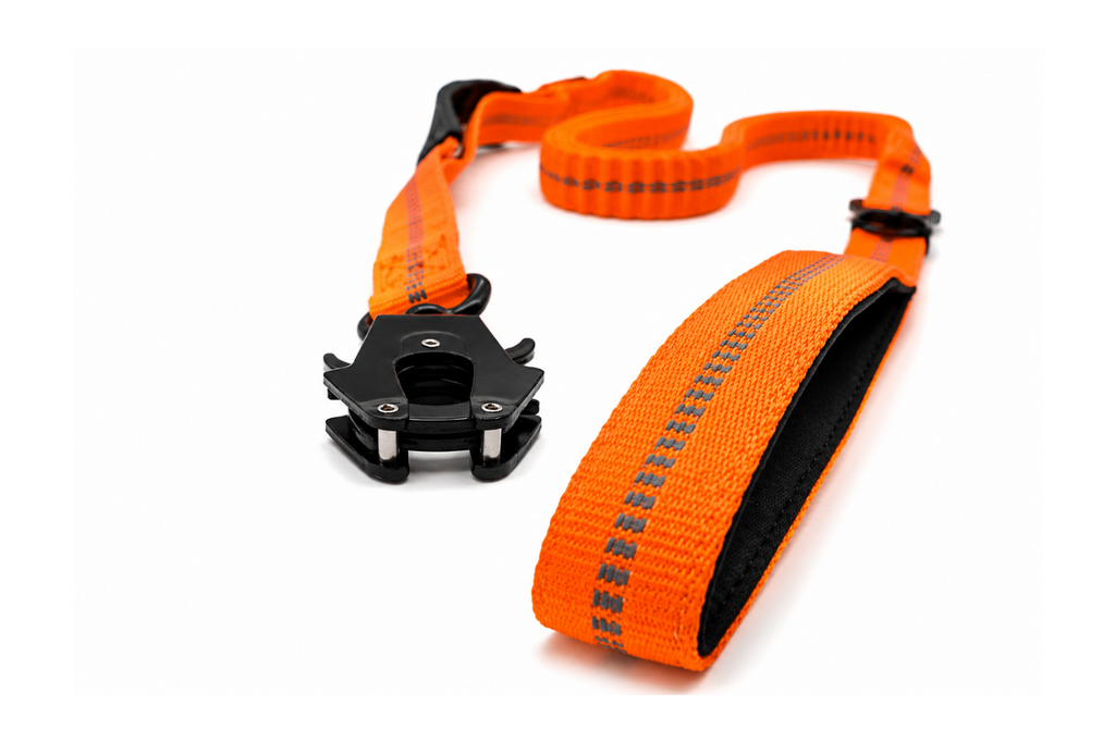 Heavy Duty Bungee Leash with Seat Belt
