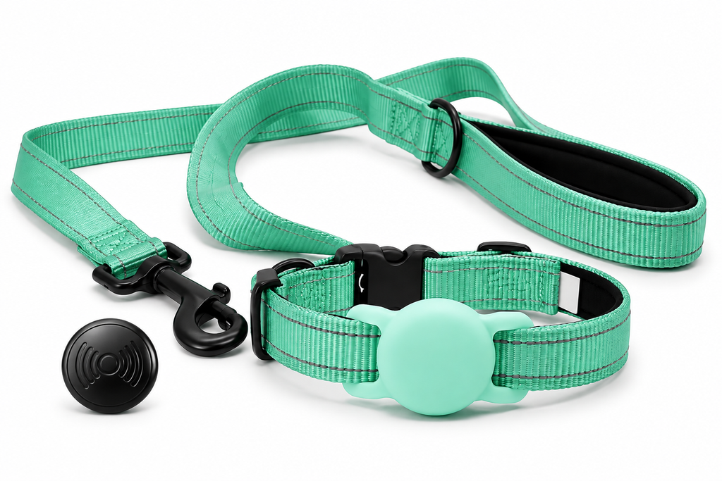Everyday Dog - Mint Green Straight Leash - Bundle