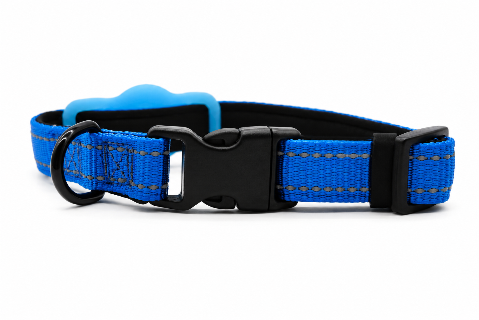 Everyday Dog - Royal Blue Collar