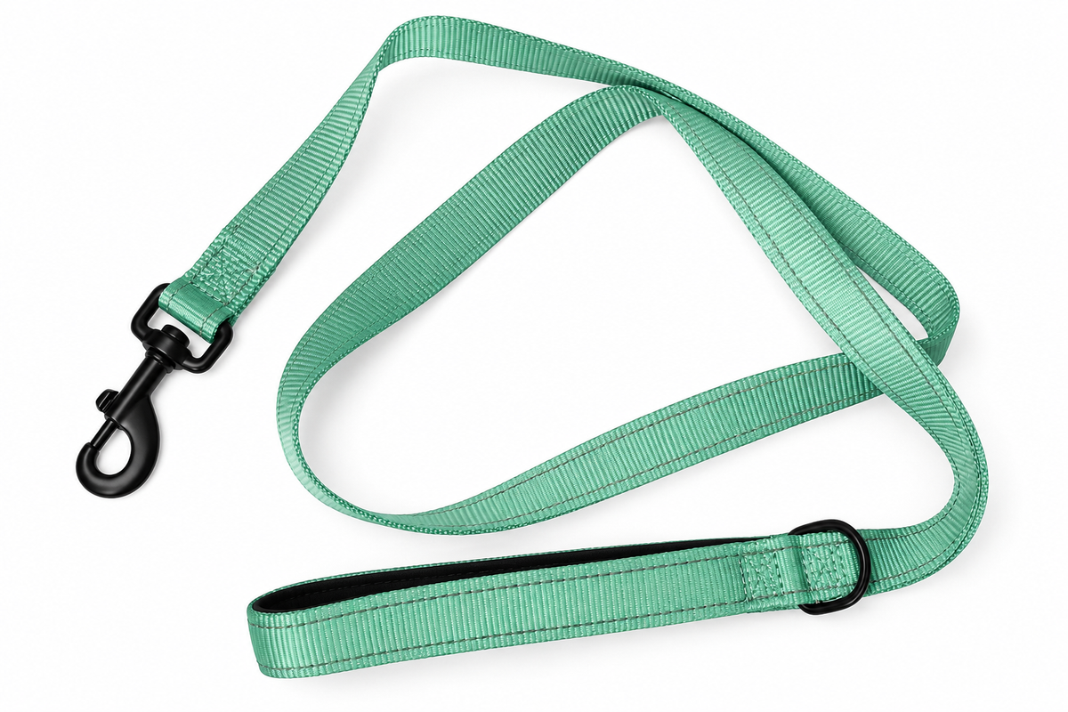 Everyday Dog - Mint Green Straight Leash - Bundle
