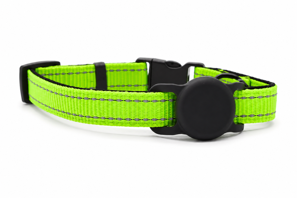 Everyday Dog - Neon Green Collar