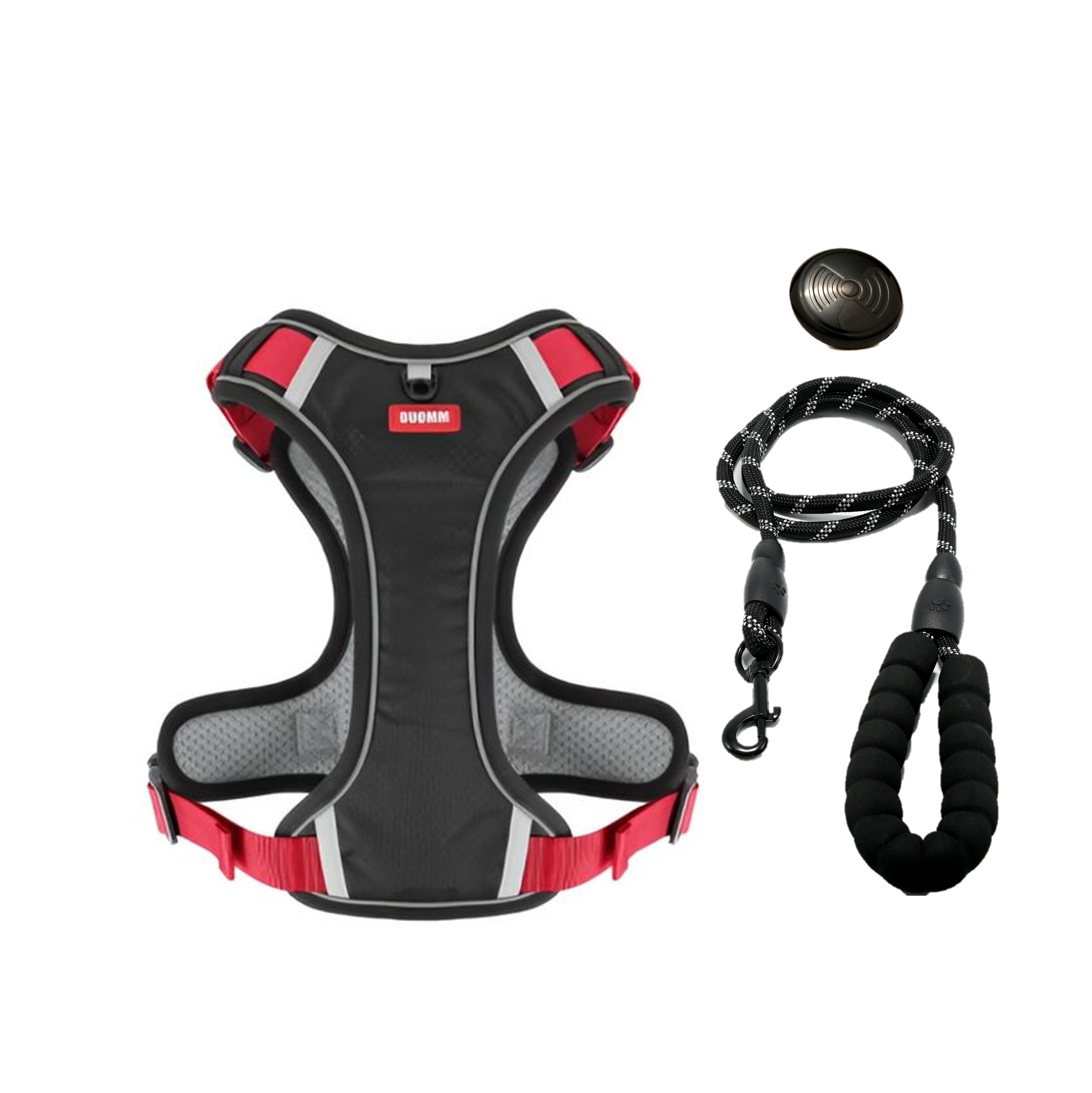 Everyday Dog - Harness - Complete Bundle