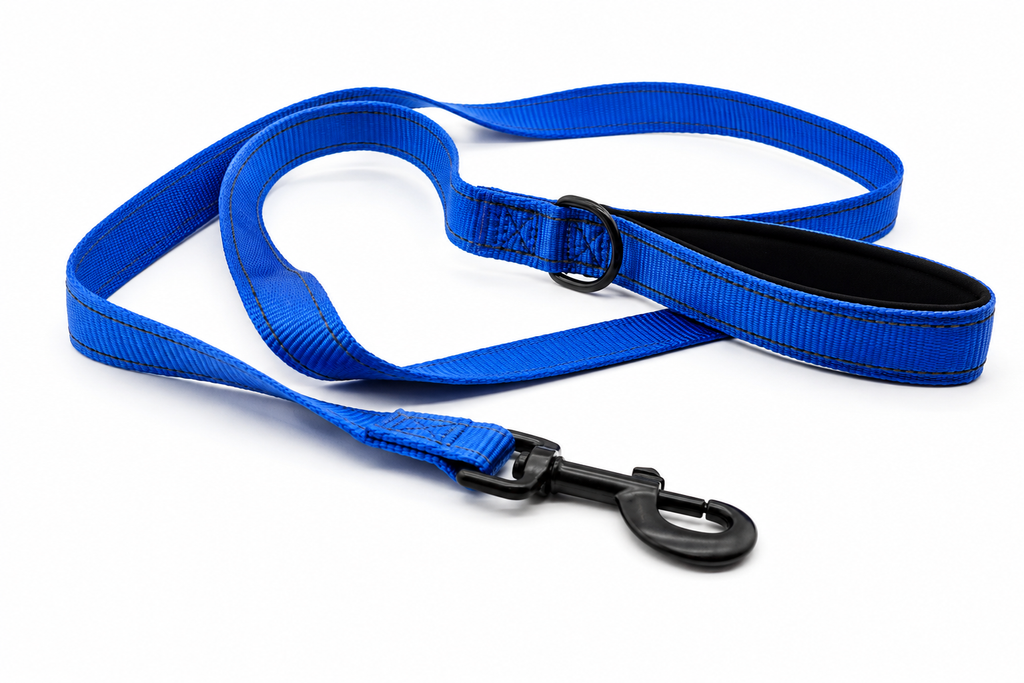 Everyday Dog - Royal Blue Straight Leash - Bundle