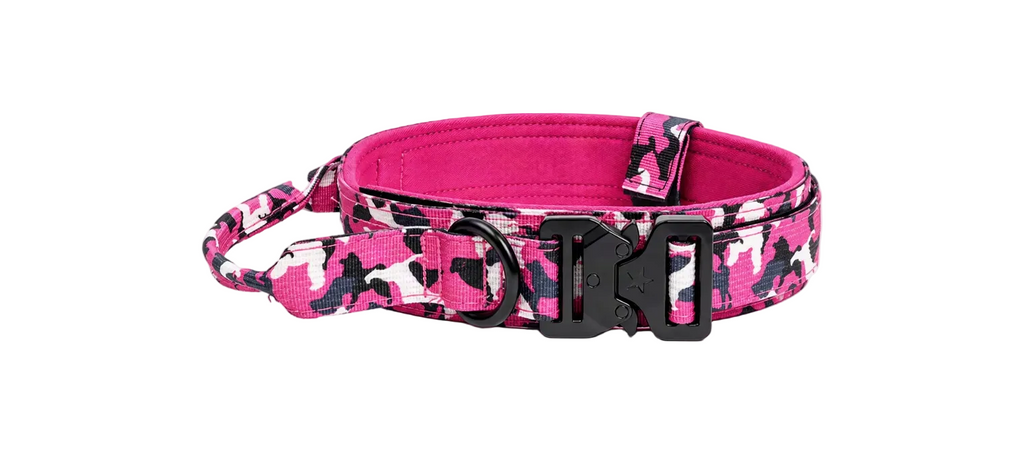 Heavy Duty Colorful Dog Collars