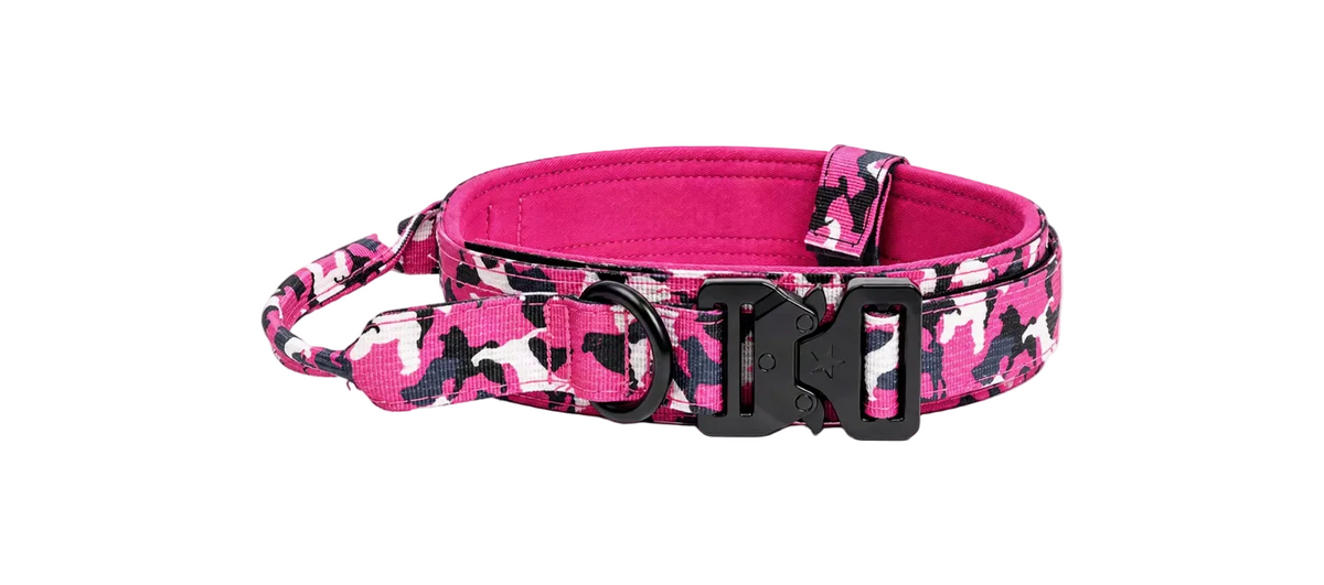 Heavy Duty Colorful Dog Collars