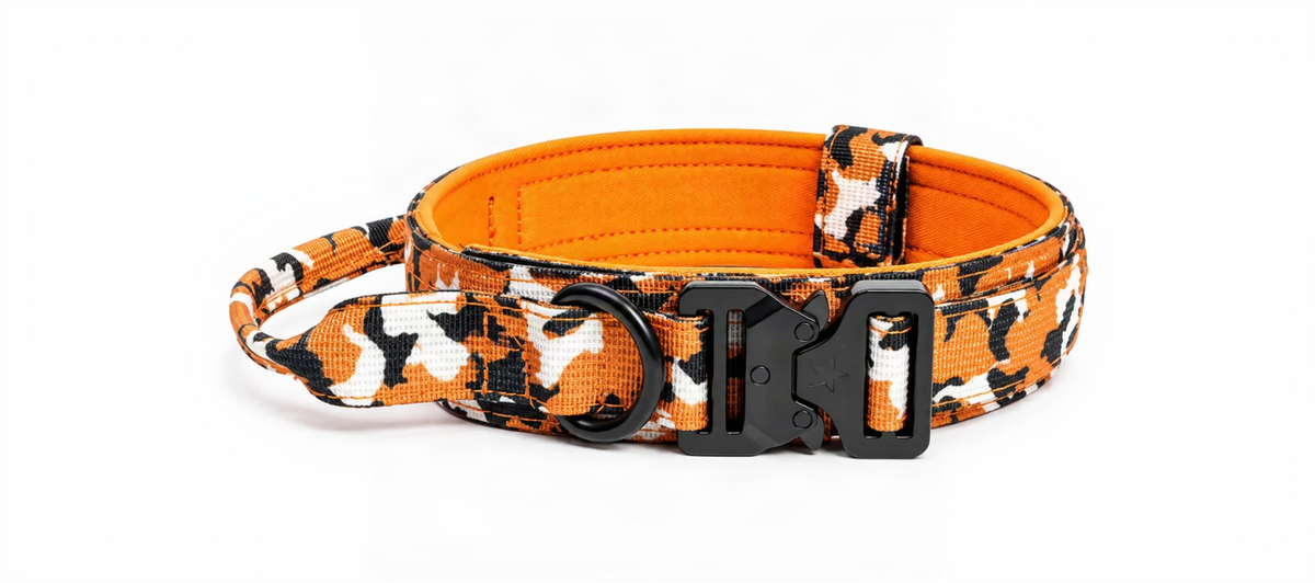 Heavy Duty Colorful Dog Collars