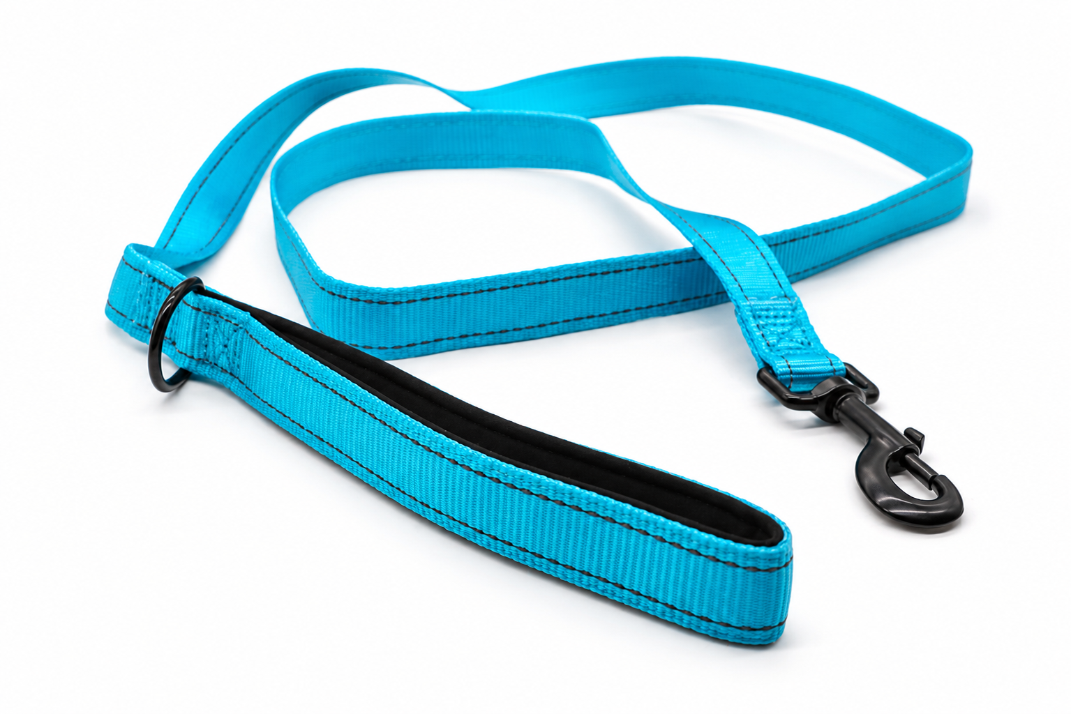 Everyday Dog - Blue Straight Leash - Bundle