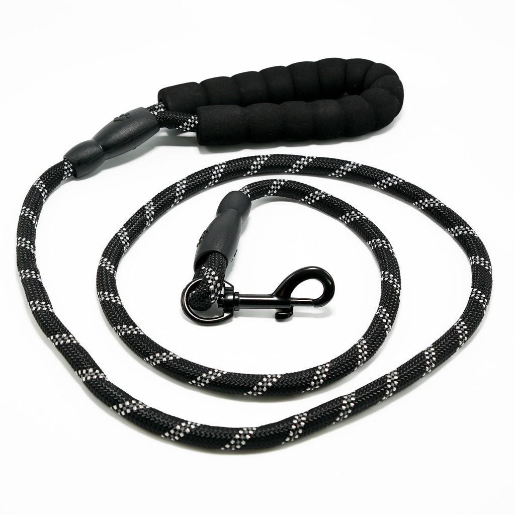 Everyday Dog - Harness - Complete Bundle