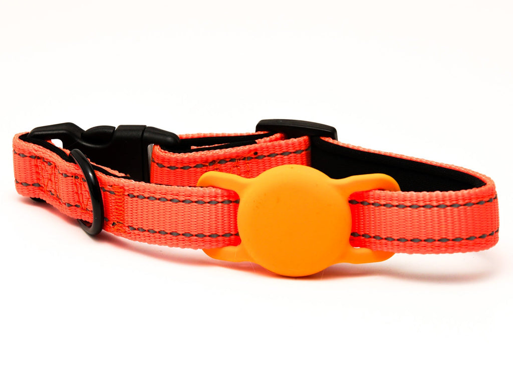 Everyday Dog - Orange Collar