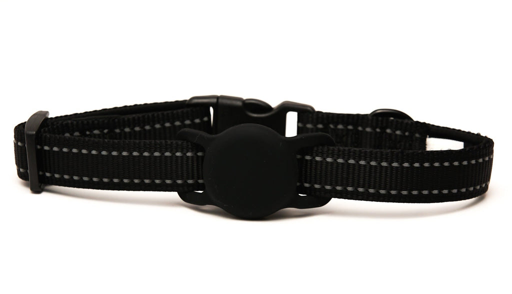 Everyday Dog - Black Collar - Bundle