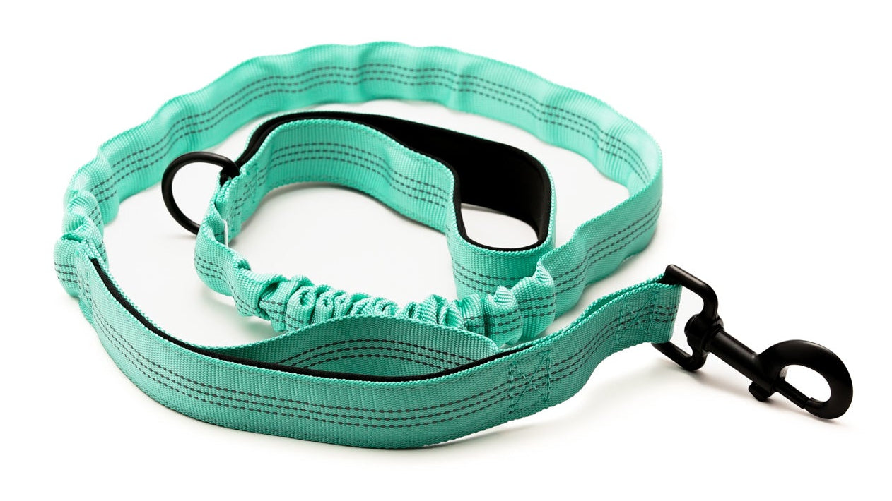 Everyday Dog - Aqua Leash