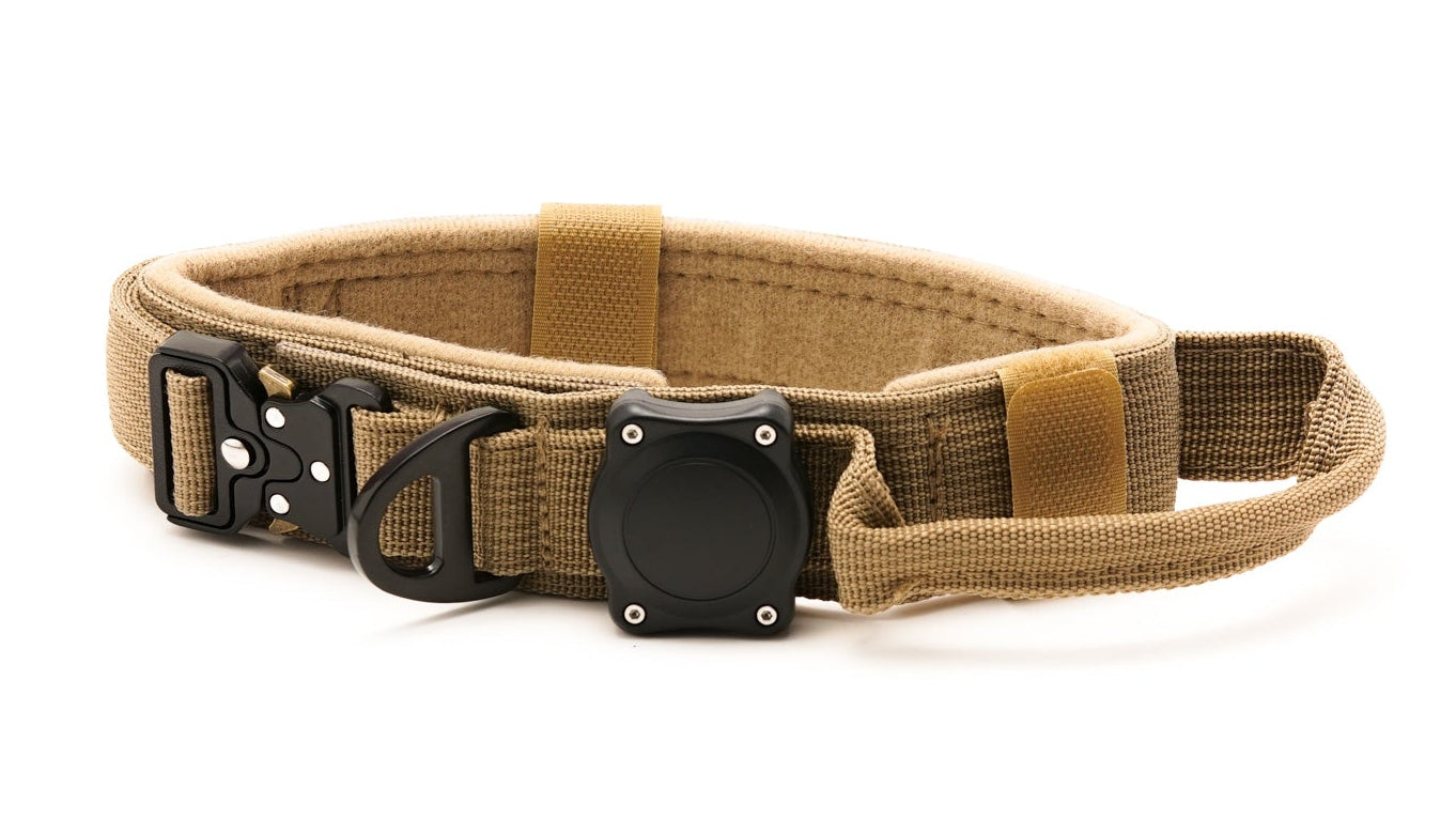 Heavy Duty Dog Collars