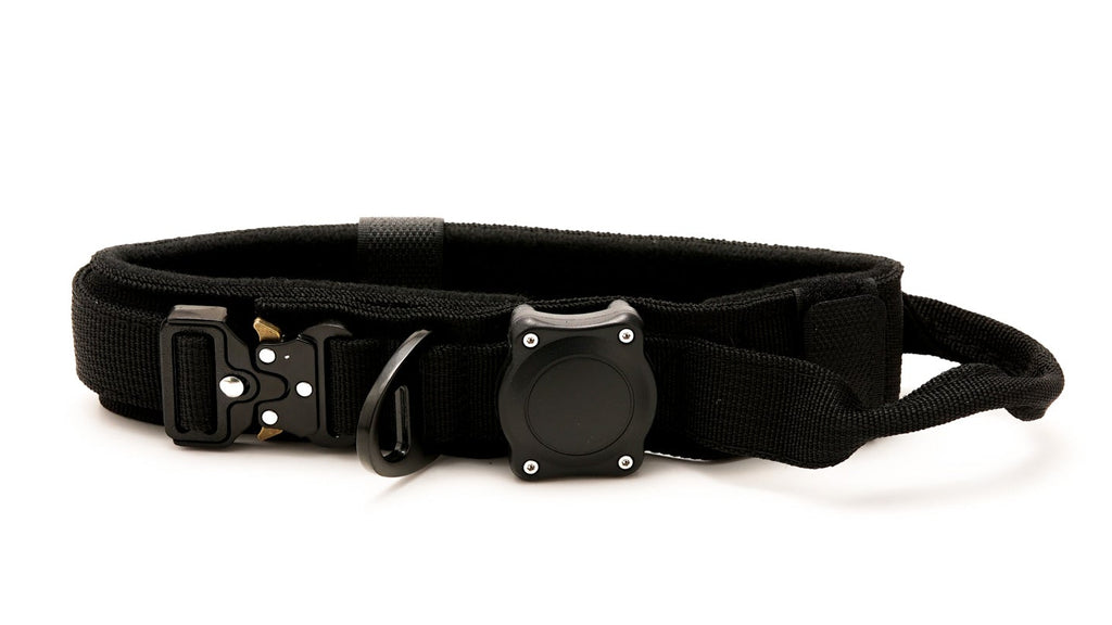 Heavy Duty Dog Collars