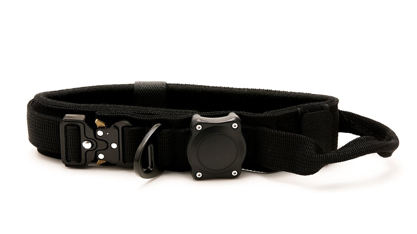 Heavy Duty Dog Collars