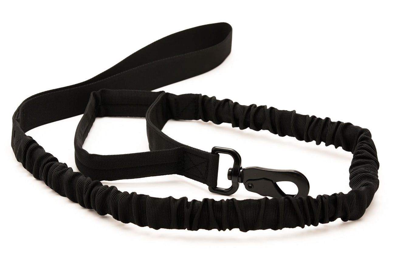 Heavy Duty Dog Leash