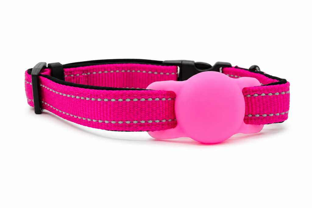 Everyday Dog - Hot Pink Collar