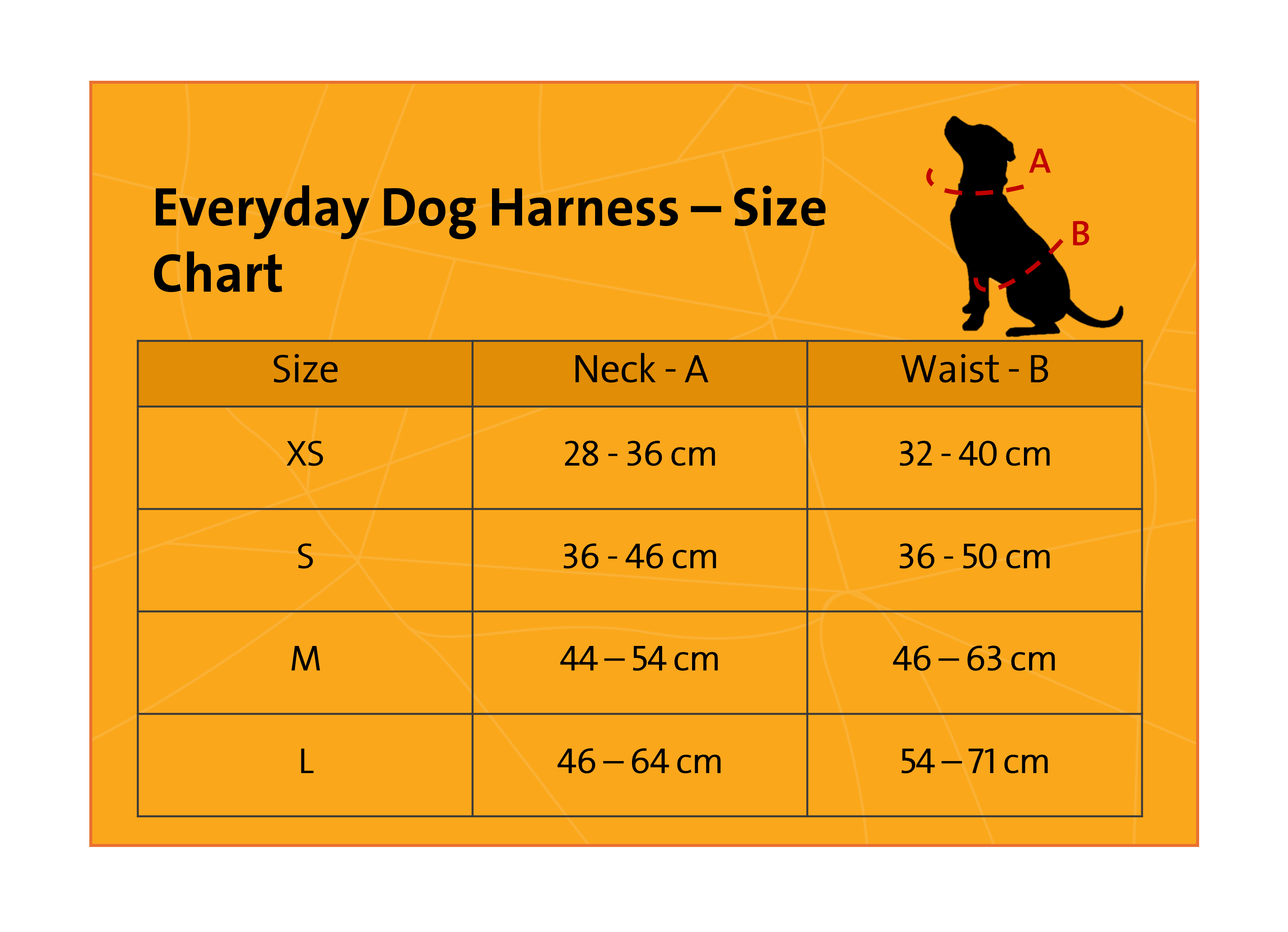 Everyday Dog - Harness - Complete Bundle