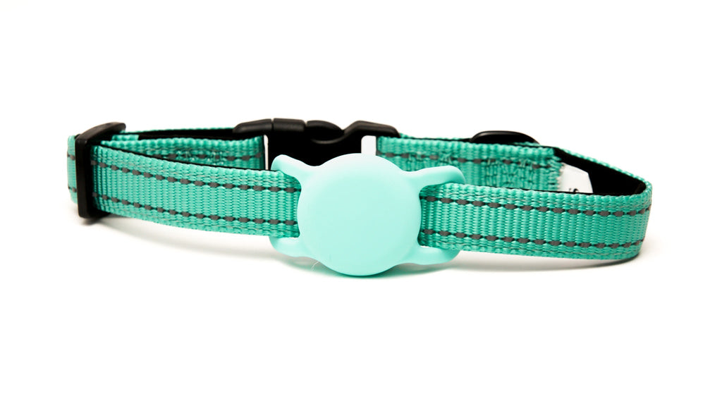 Everyday Dog - Mint Green Straight Leash - Bundle