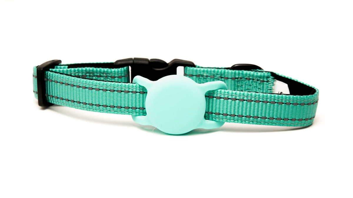 Everyday Dog - Mint Green Straight Leash - Bundle
