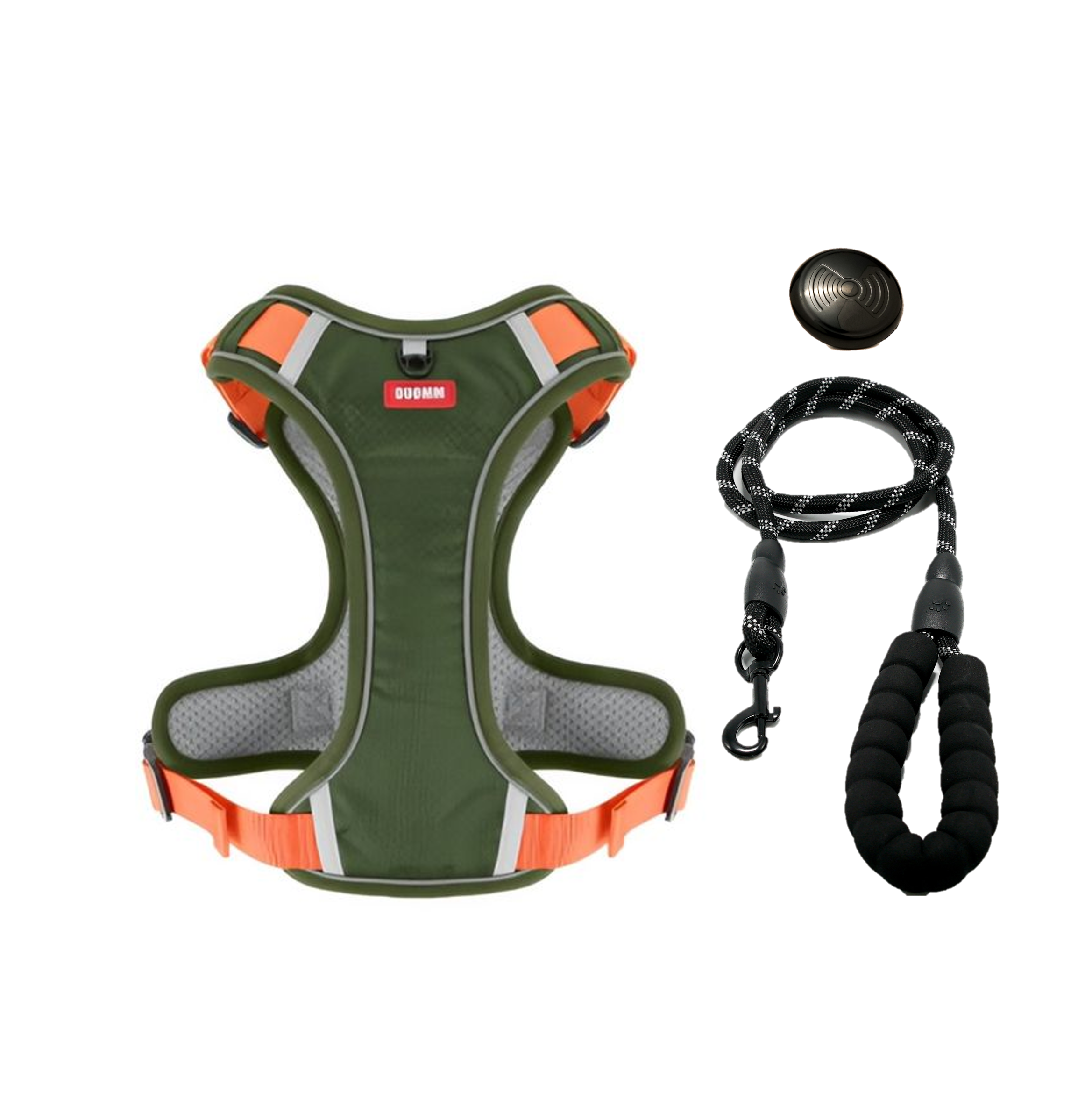 Everyday Dog - Harness - Complete Bundle