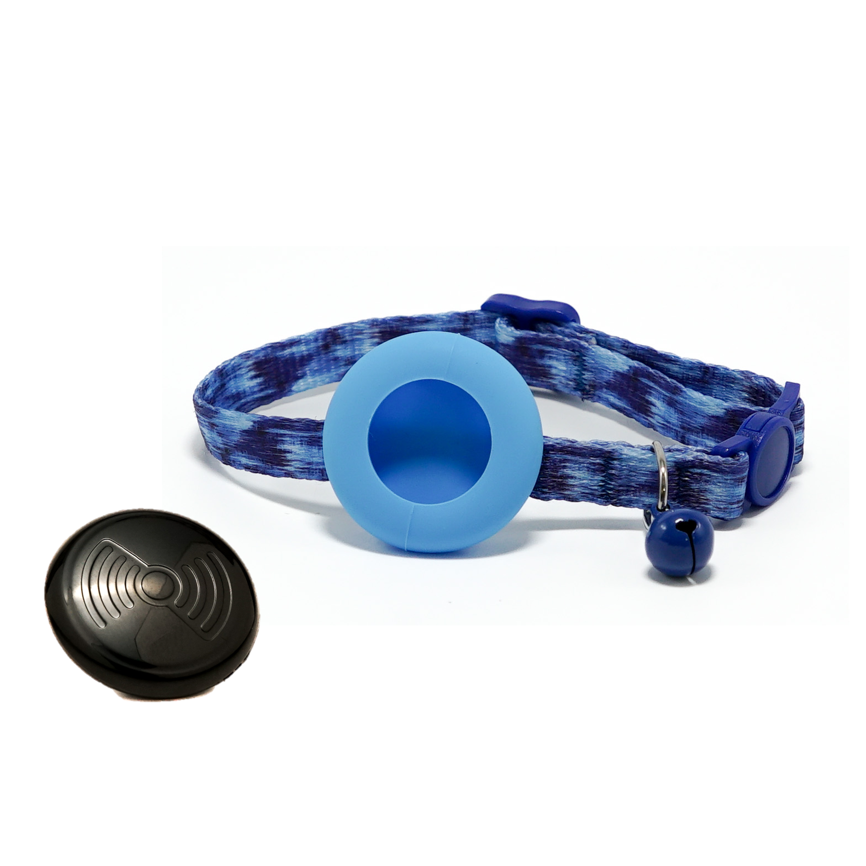 Everyday Cat - Blue Waves - Bundle