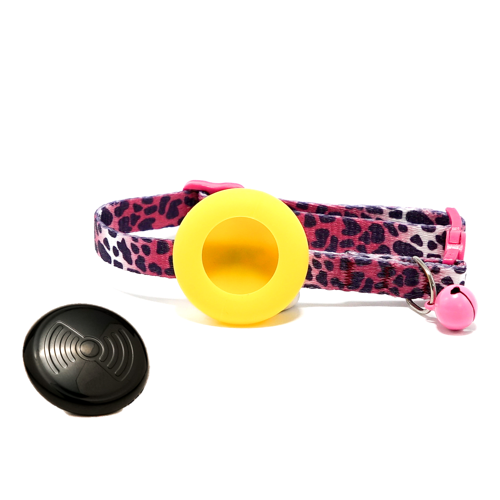 Everyday Cat - Yellow Leopard - Bundle