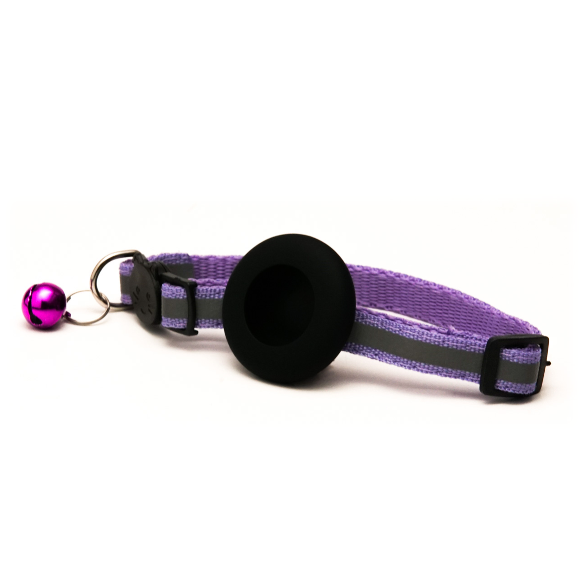 Everyday Cat - Purple Reflector