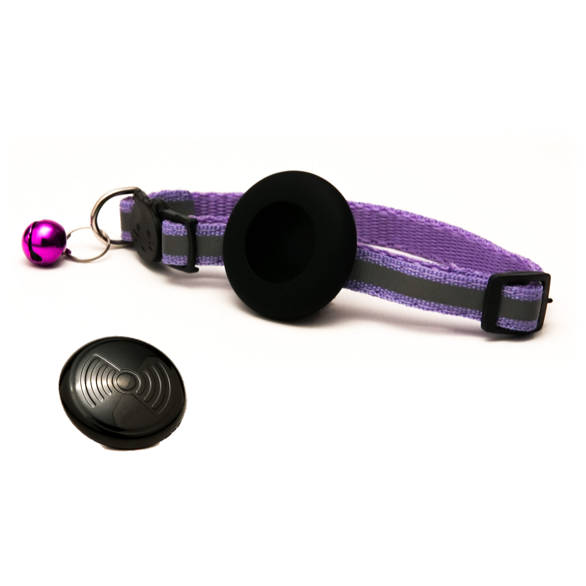 Everyday Cat - Purple Reflector - Bundle