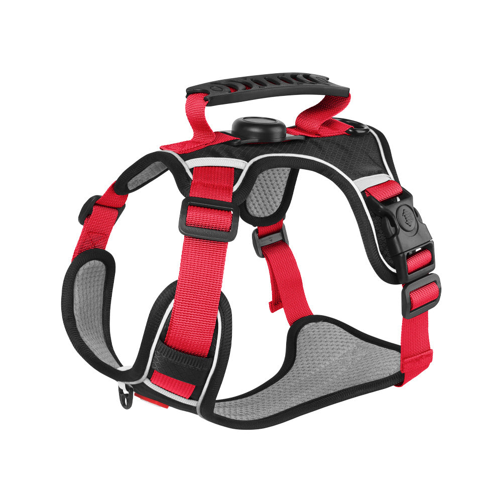 Everyday Dog - Harness - Complete Bundle